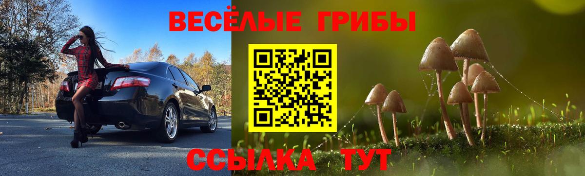Псилоцибиновые грибы Psilocybine cubensis Бутурлиновка
